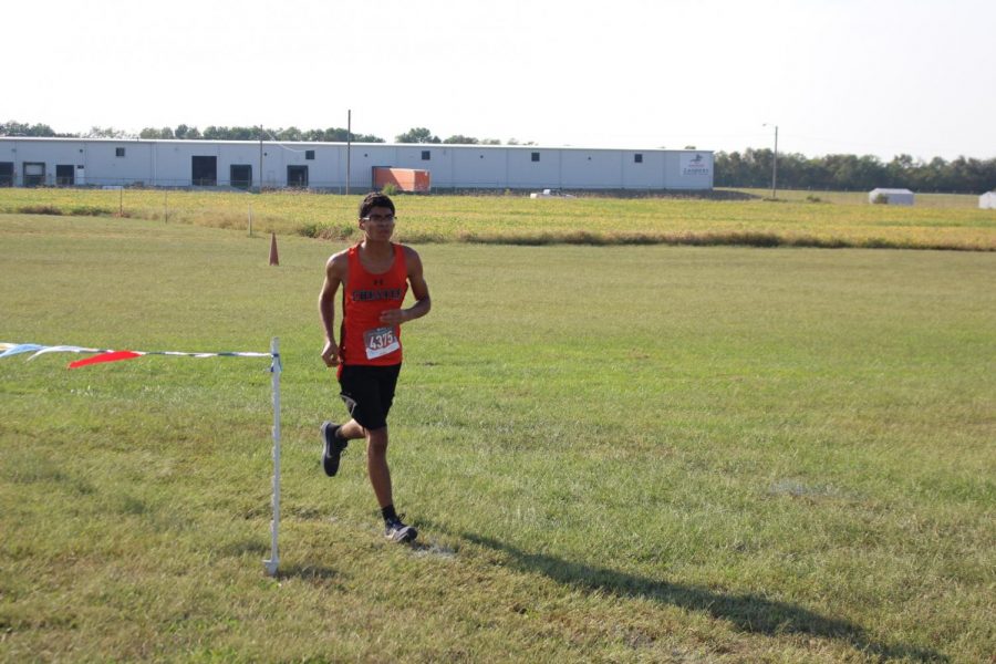 Trent Bierman took 31st at the Chester Regional to advance to the Benton Sectional Nov. 2.