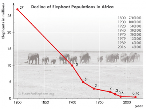 elephant poaching graph