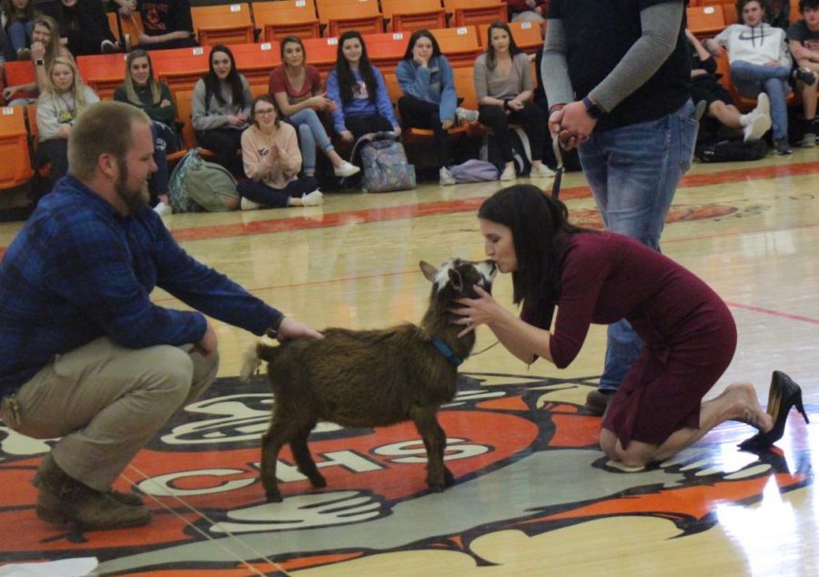 Mrs.+Hammel+won+the+FFA+kiss+a+goat+contest+and+captured+her+prize+during+a+school+assembly+Feb.+27.