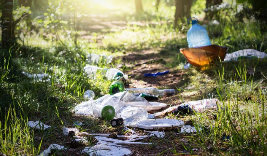 littering-shutterstock