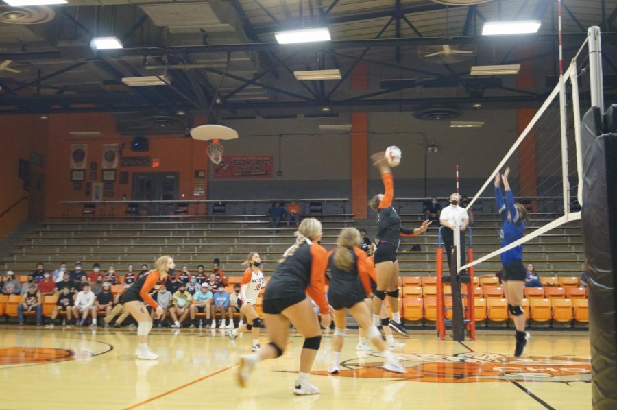 Kailyn Absher goes to the net against Steeleville.