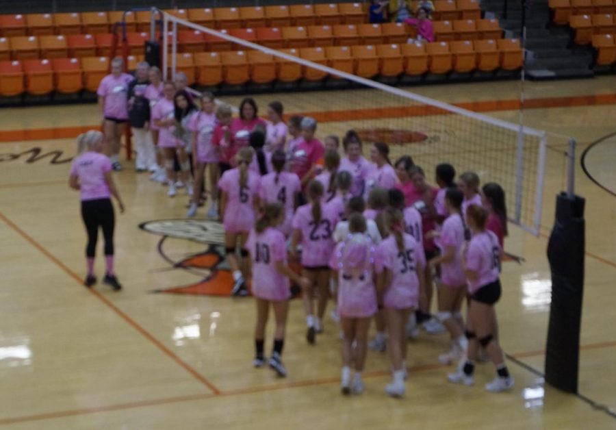 Cancer+survivors+were+recognized+during+Pink-out+Night+at+the+Chester-Okawville+volleyball+game.