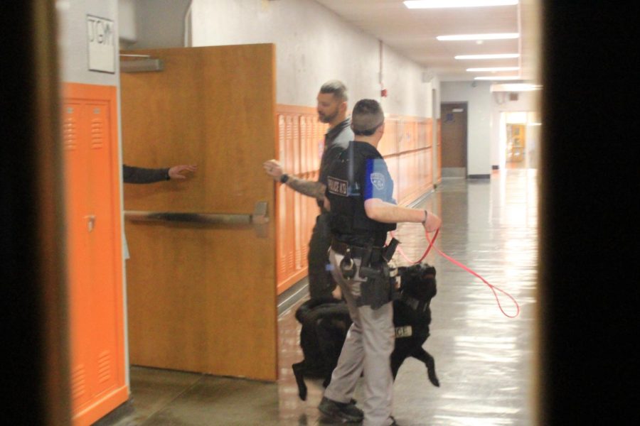 Dogs were used during a search at Chester High School Feb. 23.