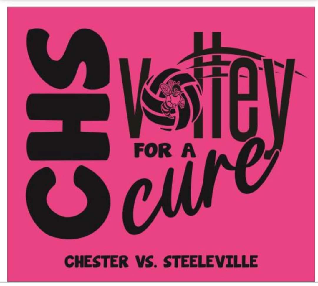CHS Volleyball Pink Out