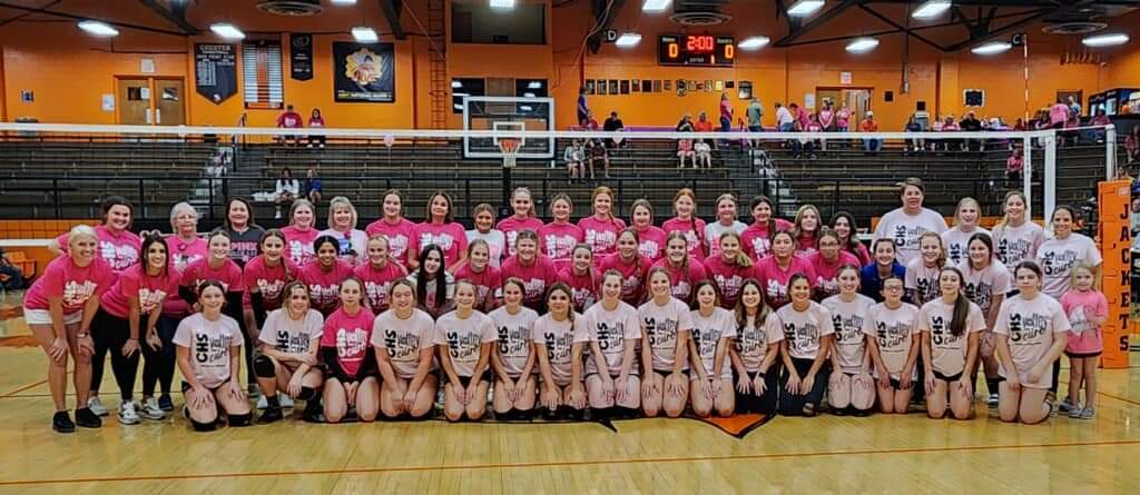 Volleyball team Pink Out Game