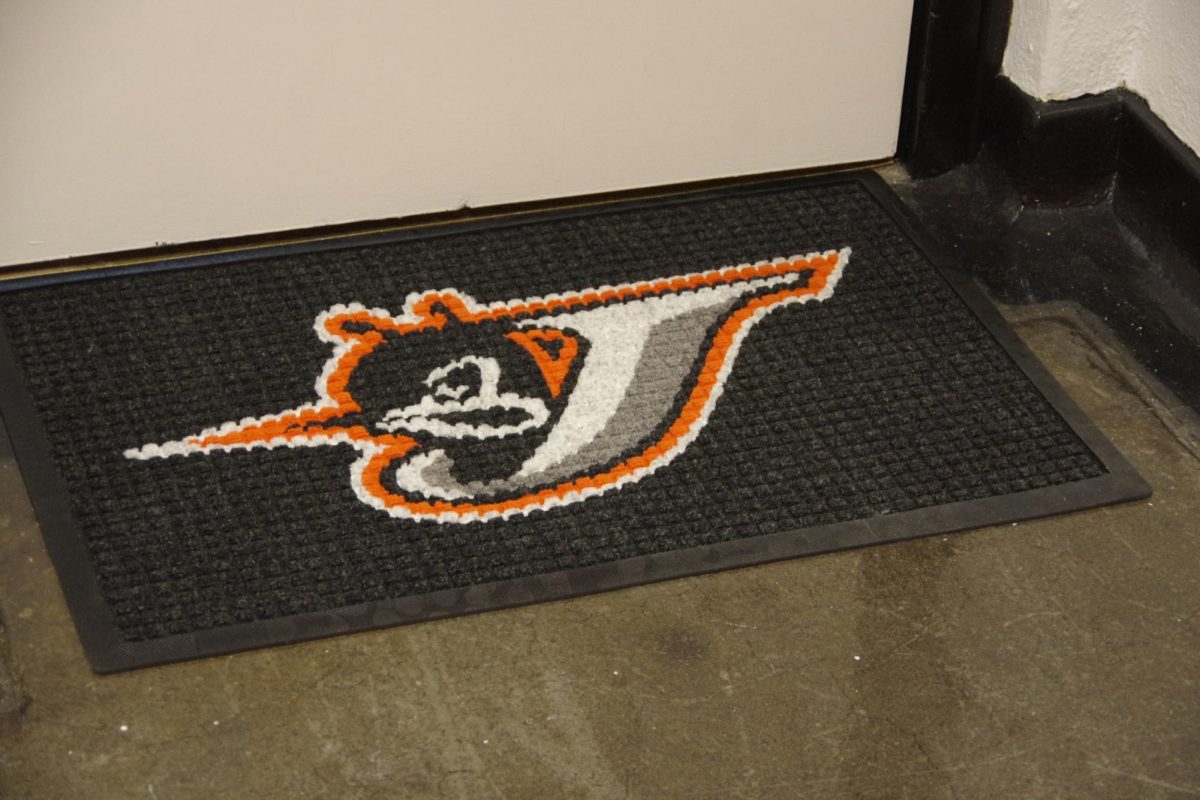New Rugs placed inside