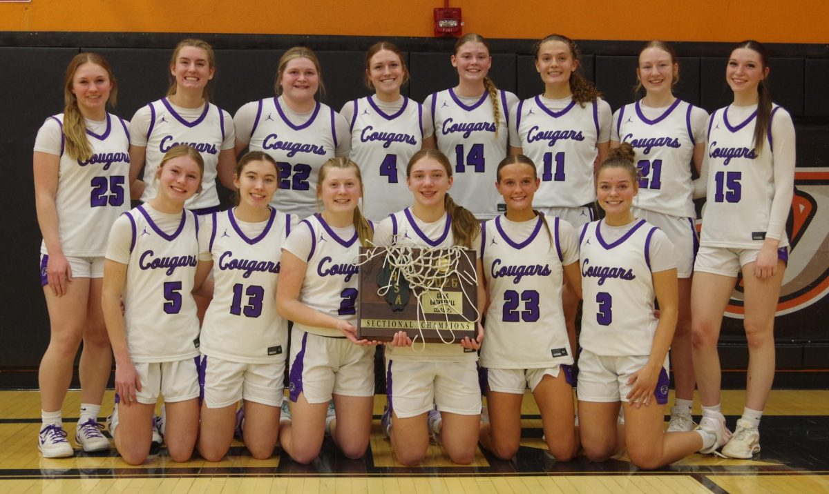 Chester Sectional Game 1 Benton vs Breese Central